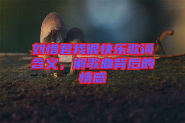 劉惜君我很快樂歌詞含義，解歌曲背后的情感