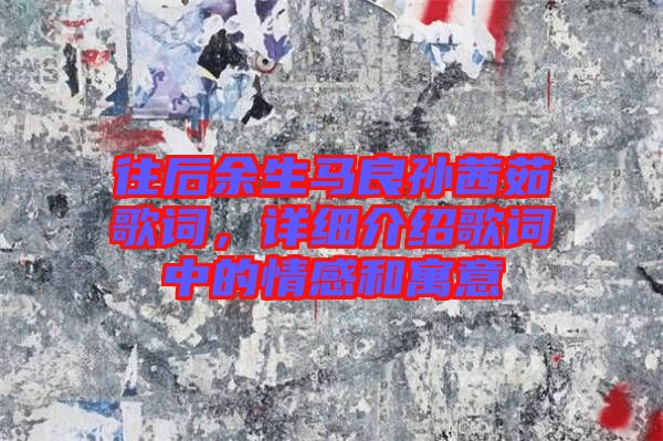 往后余生馬良孫茜茹歌詞，詳細介紹歌詞中的情感和寓意