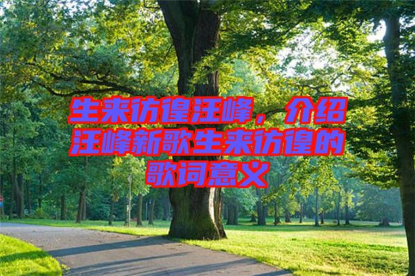 生來彷徨汪峰，介紹汪峰新歌生來彷徨的歌詞意義