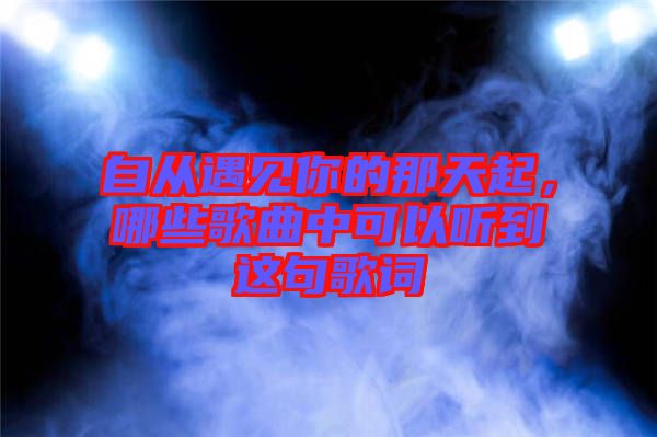 自從遇見你的那天起，哪些歌曲中可以聽到這句歌詞