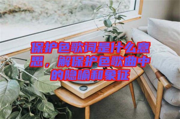 保護(hù)色歌詞是什么意思，解保護(hù)色歌曲中的隱喻和象征