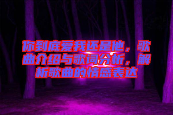 你到底愛我還是他，歌曲介紹與歌詞分析，解析歌曲的情感表達(dá)