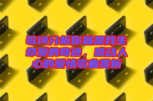 歌詞分析你就是我生命愛的奇跡，感動人心的愛情歌曲賞析