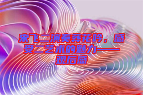 宋飛二演奏葬花吟，感受二藝術(shù)的魅力——觀后感