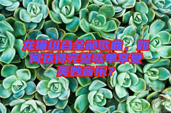 龍貓組合全部歌曲，如何獲得完整歌單享受美妙音樂？