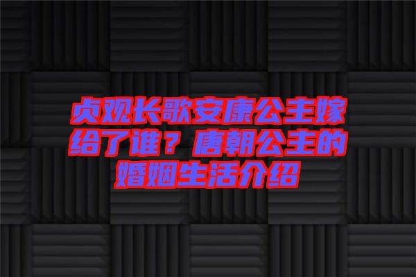 貞觀長歌安康公主嫁給了誰？唐朝公主的婚姻生活介紹