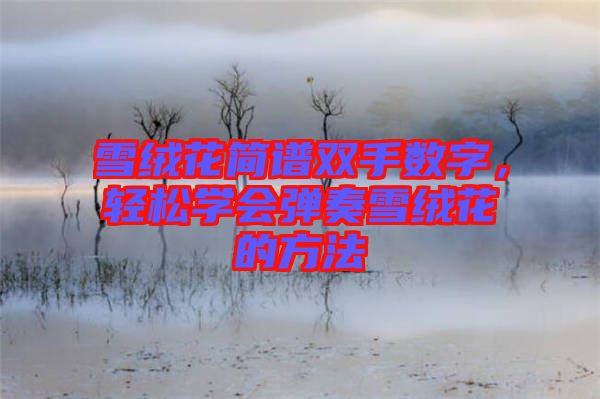 雪絨花簡(jiǎn)譜雙手?jǐn)?shù)字，輕松學(xué)會(huì)彈奏雪絨花的方法