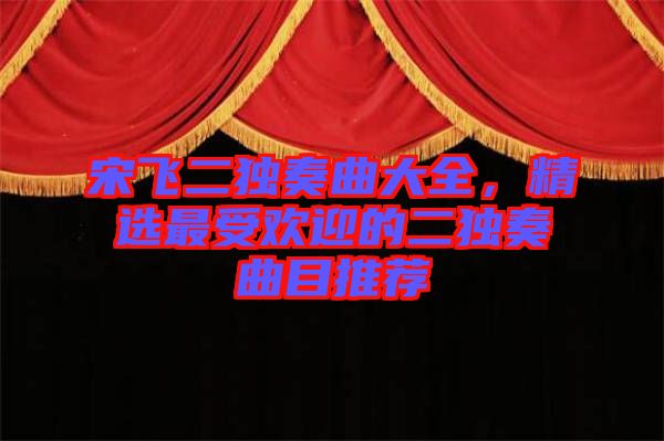 宋飛二獨奏曲大全，精選最受歡迎的二獨奏曲目推薦