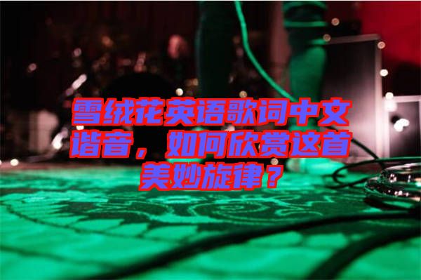 雪絨花英語歌詞中文諧音，如何欣賞這首美妙旋律？