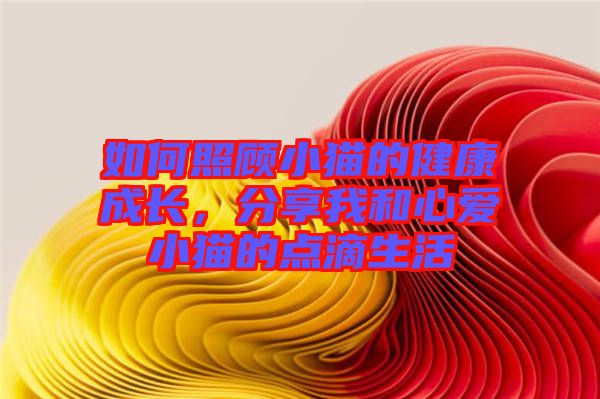 如何照顧小貓的健康成長，分享我和心愛小貓的點(diǎn)滴生活